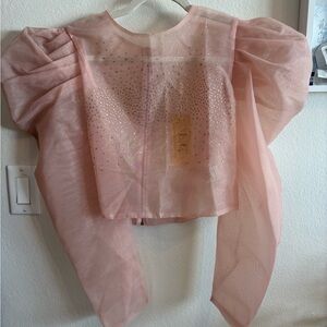 Elegant Pink Sheer Top